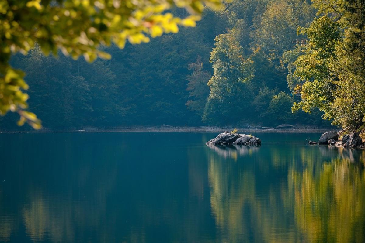 lake dummy pic