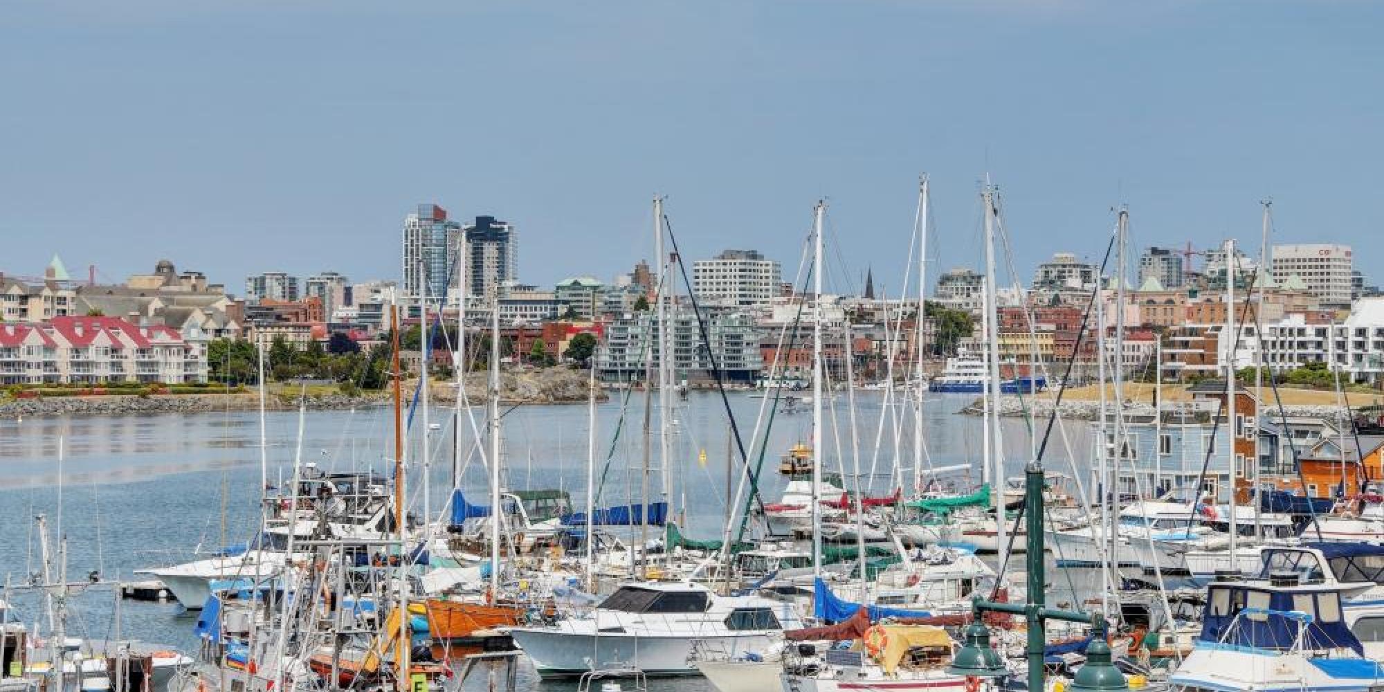 shoal point marina