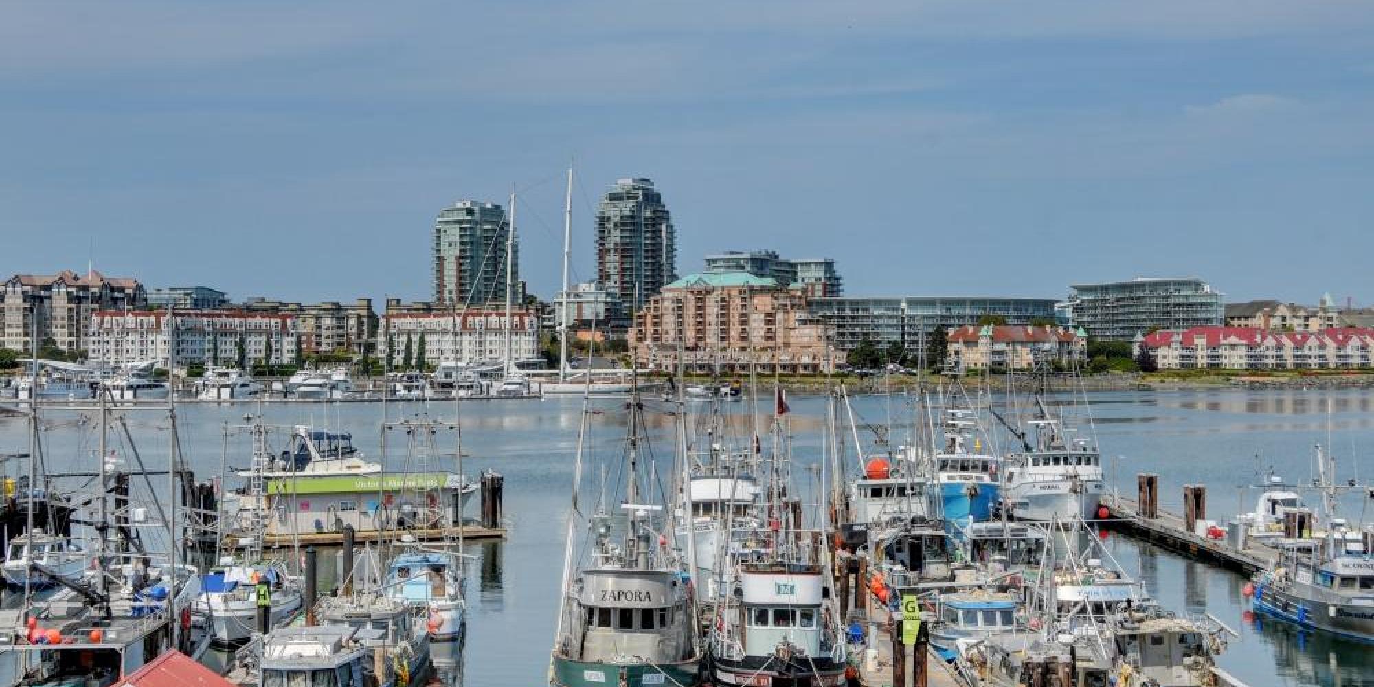 shoal point marina